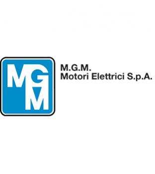 MGM Motores con Freno